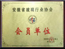 会员单位
