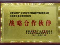 战略合作伙伴